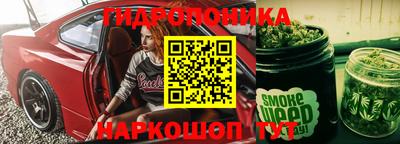 стаф Будённовск