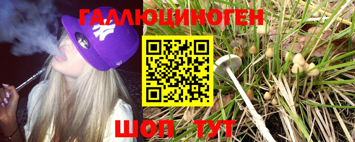 Галлюциногенные грибы Cubensis Апшеронск